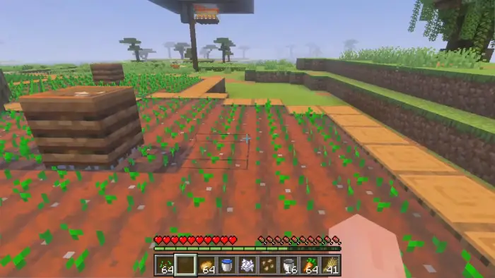 Crop farm with planted seedlings and pathways