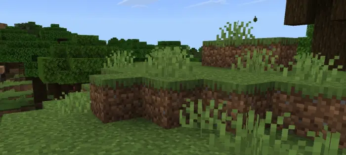 Grassy forest edge with natural clearings