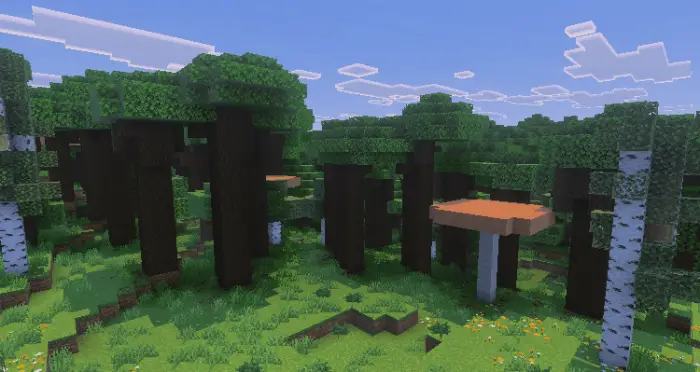 Lush forest with reworked trees and grass