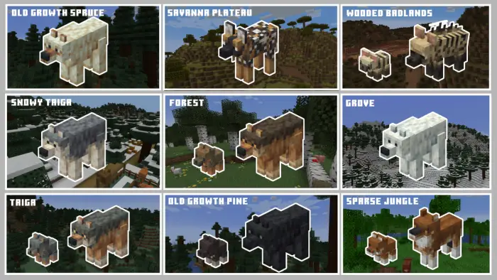 1. Old Growth Spruce wolf variant 2. Savanna Plateau wolf variant 3. Wooded Badlands wolf variant 4. Snowy Taiga wolf variant