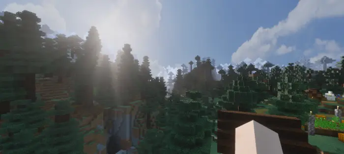 Sunlight streams through detailed forest scene