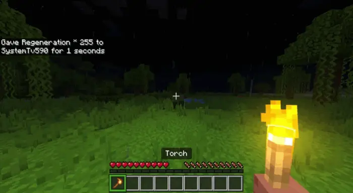 Player holds a torch at night in-game