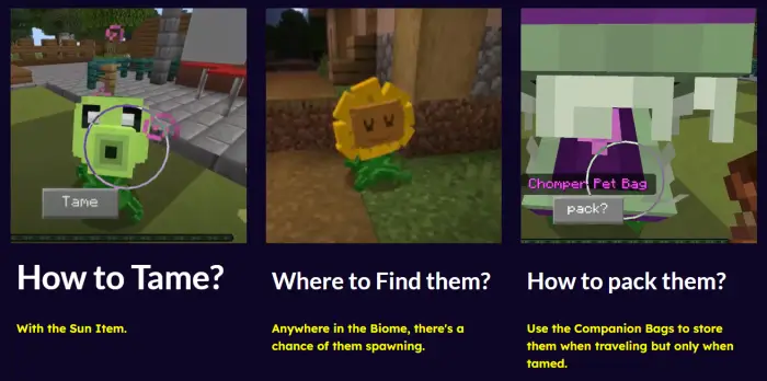 1. Player taming a Peashooter plant 2. Sunflower plant standing on grass 3. Chomper being packed in a pet bag