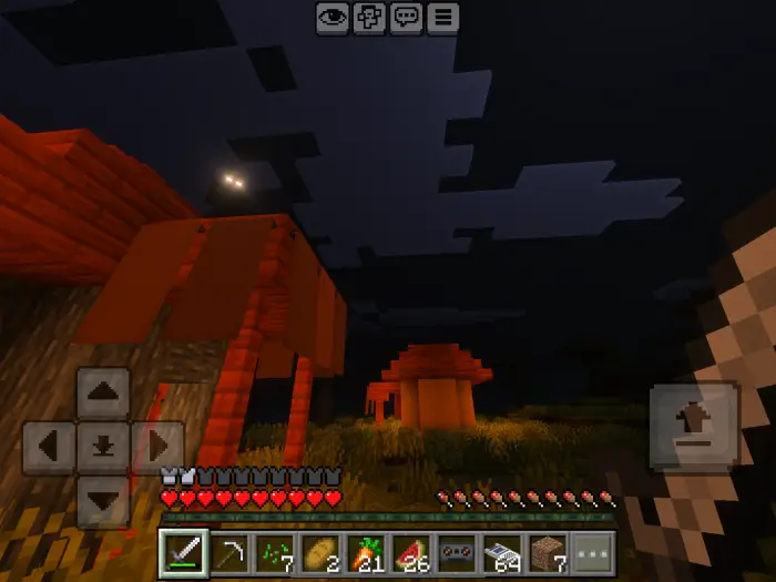 Nighttime village with player HUD visible.