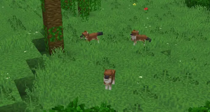 Three custom wolves in grassy forest