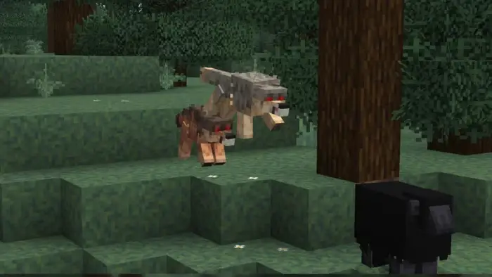 Blocky wolves with new textures in forest