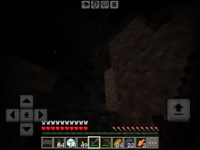 Player explores dark cave with new mob nearby.