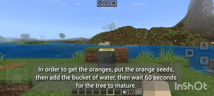 Planting orange seeds in a blocky landscape