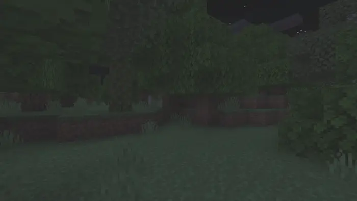 Dimly lit forest scene at night