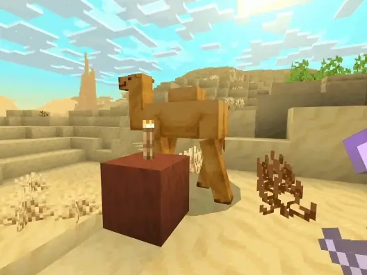 Blocky camel in a desert landscape