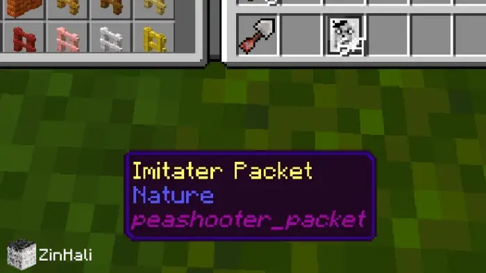 ALT Imitater Packet item tooltip in inventory