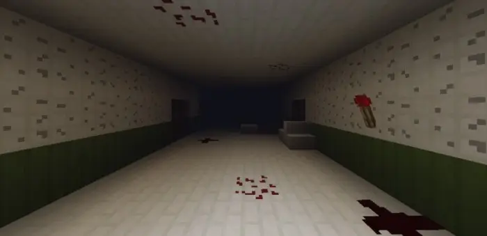 Dark, eerie hallway with bloodstains and torch