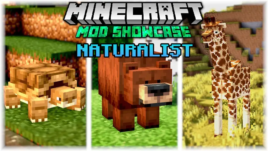 Thumbnail: Naturalist Addon