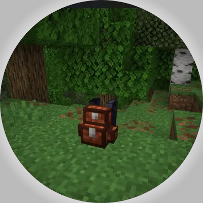 Backpack mod item on a forest floor