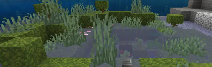 Duck floating in a grassy pond scene