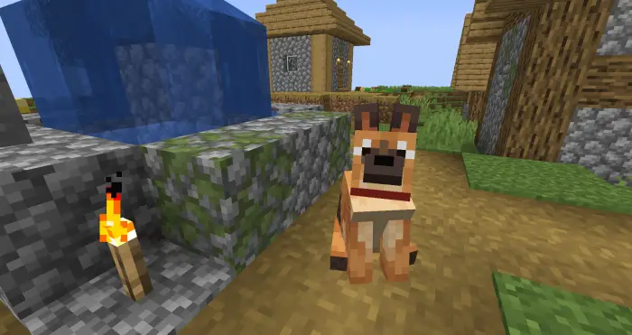 Dog with new texture sitting by a fountain