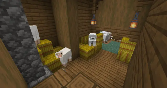 Sheep standing on hay inside a wooden barn