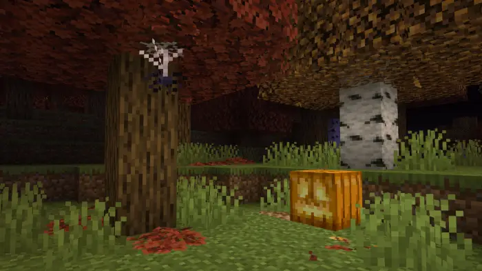 Jack-o-lantern and cobwebs in autumn forest