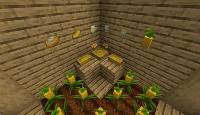 Pineapple crops and food items display