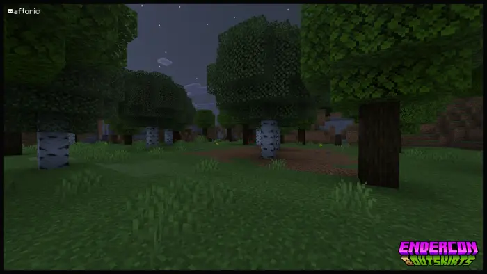 Blocky forest at night near EnderCon event