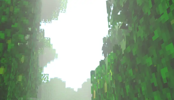 Sunlight shines through dense pixelated leaves