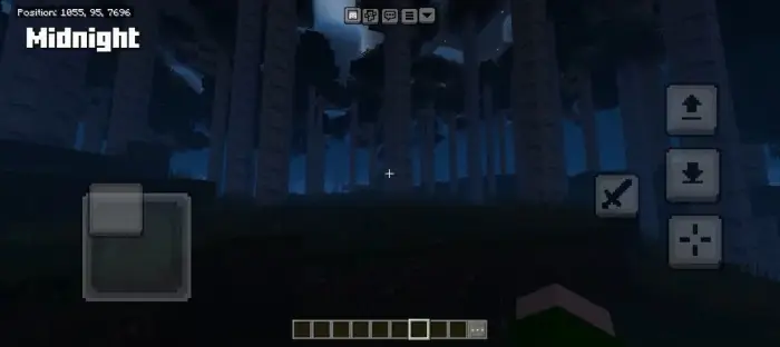 Dense forest at midnight with soft blue lighting.