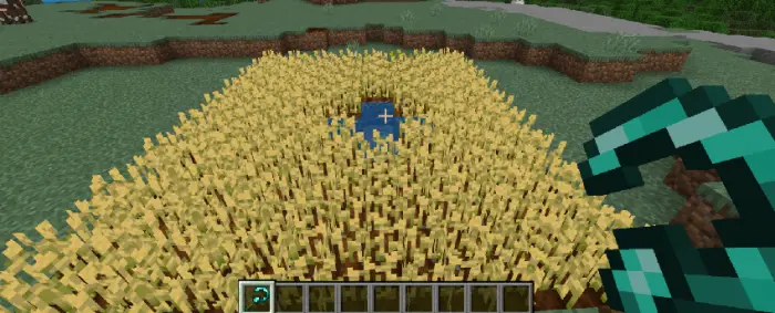 Diamond tool harvesting wheat field.