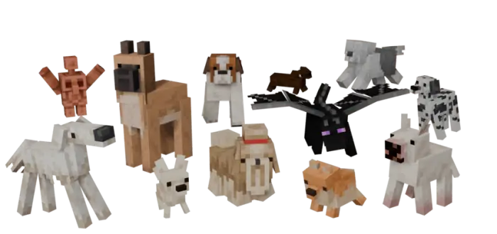 Various blocky dog breeds with unique textures