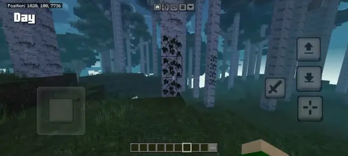 Daytime forest with soft lighting effects