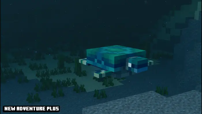Blocky sea turtle swims underwater at night.