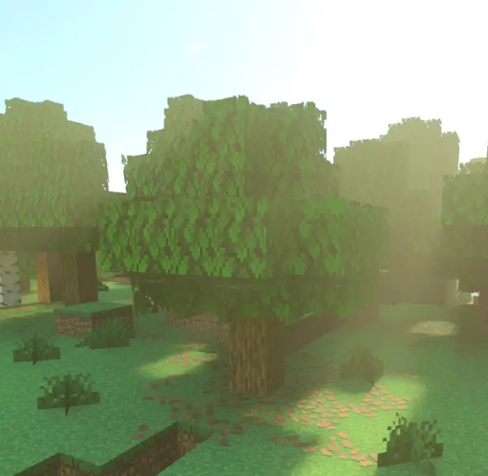 Sunlight filtering through blocky forest trees