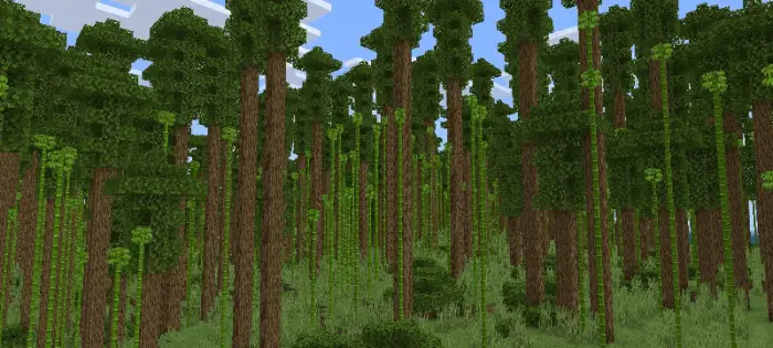 Dense pixelated forest with tall trees