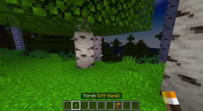 Player holding torch near birch trees at night