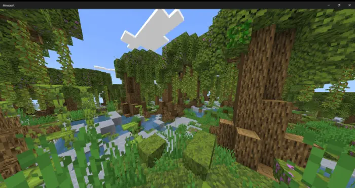 Dense, lush forest with vines and water.