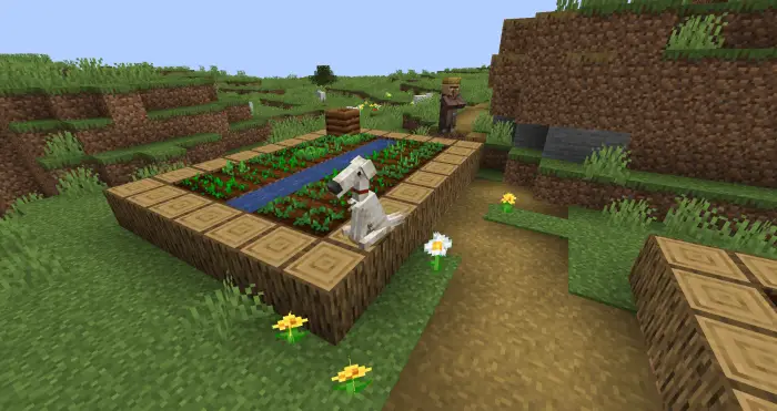 Dog with new texture near a garden patch