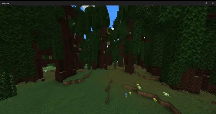 Dense forest biome with tall trees and flowers