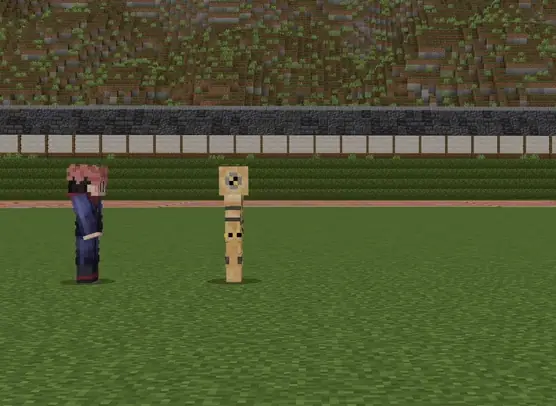 Character faces training dummy on a field