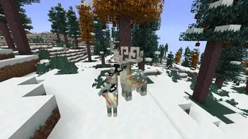 Two icy mobs in a snowy forest biome