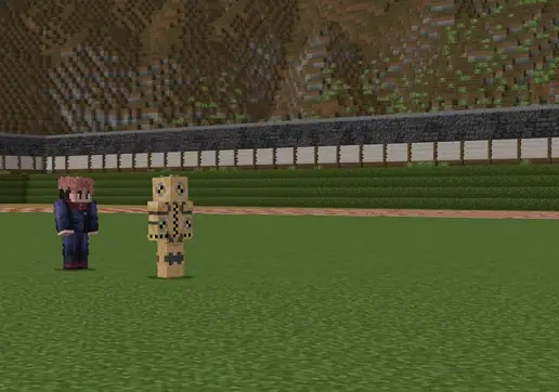 Two custom characters on a grassy field