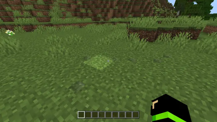 Faint footprints visible on grassy terrain