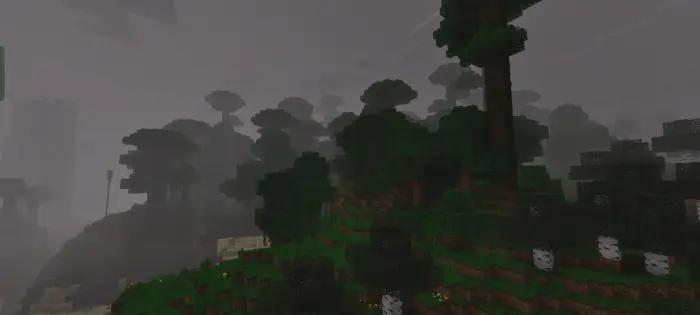 Dark, misty forest with dense, eerie trees