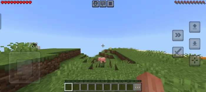 First-person view of grassy hills with a pig