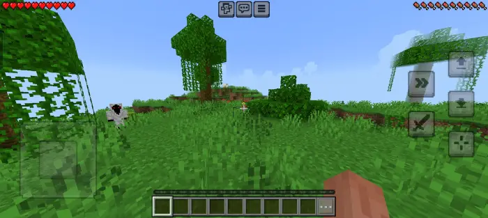 First-person view exploring a grassy forest