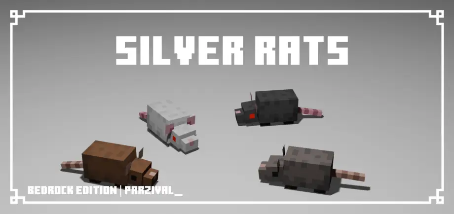 Thumbnail: Silver Rats
