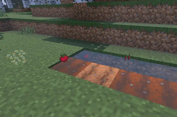 Fruits and seeds on tilled soil in-game