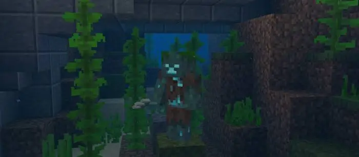 Underwater mob near seaweed and stone