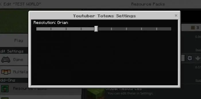 Settings menu for YouTuber totem textures