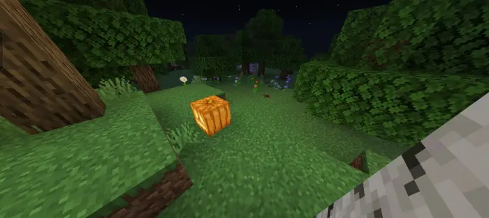 Single pumpkin in a dark forest clearing