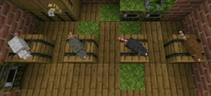 Four rat textures on barrels in a room