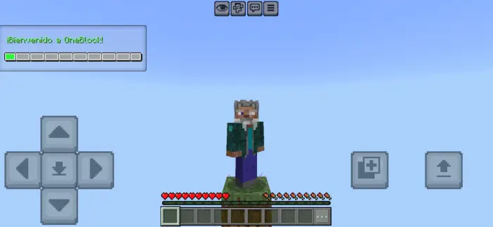 Character stands on a single block in the sky.